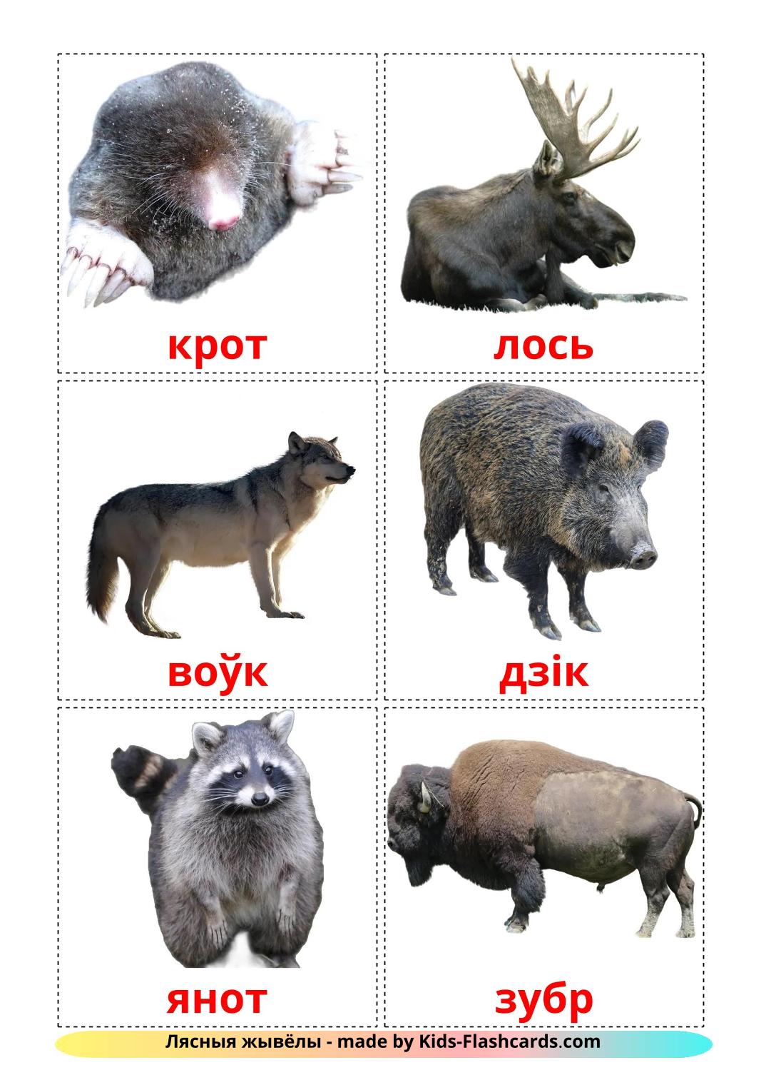 Forest animals - 23 Free Printable belarusian Flashcards 