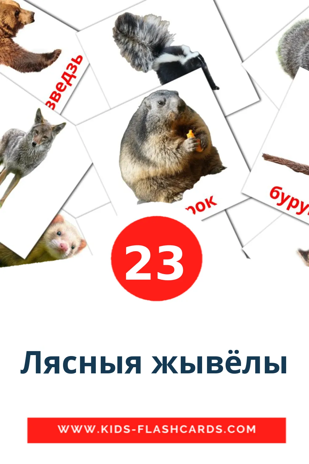 23 Лясныя жывёлы Picture Cards for Kindergarden in frans