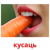 кусаць picture flashcards