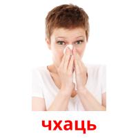 чхаць picture flashcards