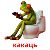 какаць picture flashcards