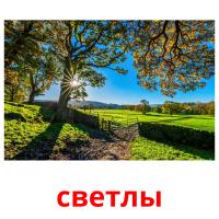 светлы picture flashcards