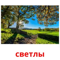 светлы flashcards illustrate