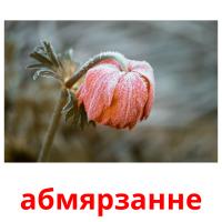 абмярзанне card for translate