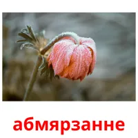 абмярзанне picture flashcards