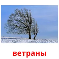 ветраны picture flashcards