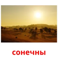 сонечны picture flashcards