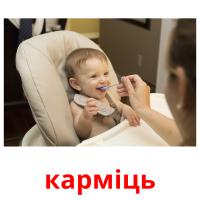 карміць flashcards illustrate