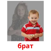 брат picture flashcards