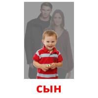 сын picture flashcards