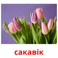 сакавік picture flashcards