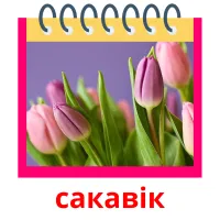 сакавік cartões com imagens