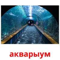 акварыум flashcards illustrate