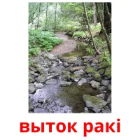 выток ракі flashcards illustrate