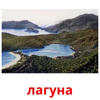 лагуна flashcards illustrate