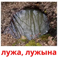 лужа, лужына flashcards illustrate