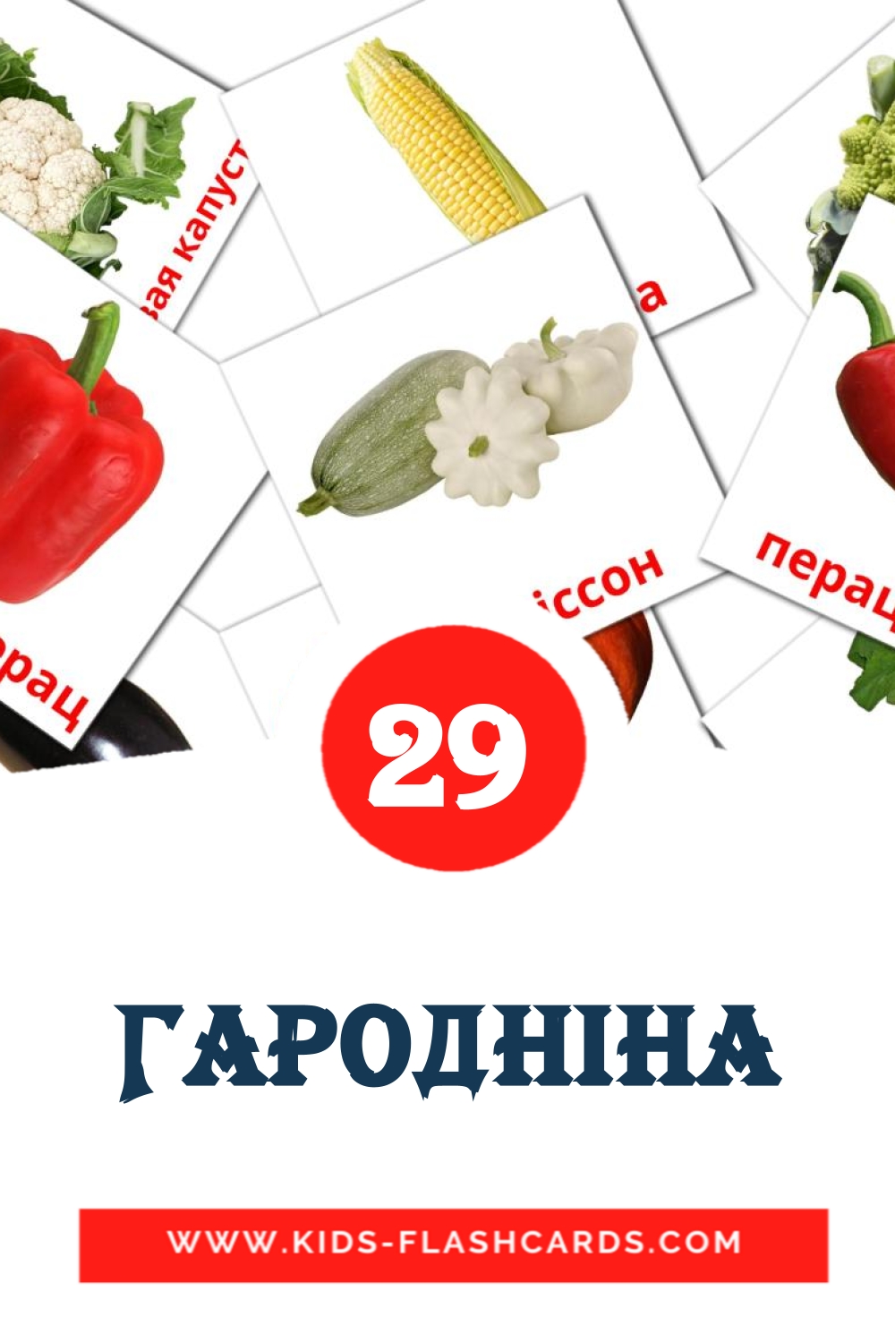 29 Гародніна Picture Cards for Kindergarden in belarusian