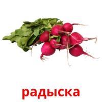 радыска карточки энциклопедических знаний