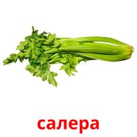 салера picture flashcards