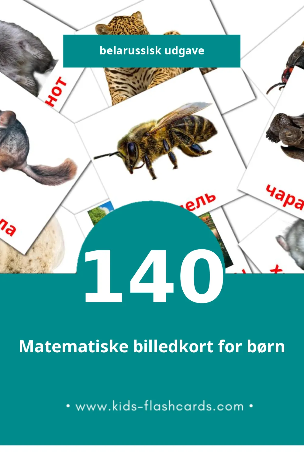 Visuelle billedkort for børn om Жывёлы til småbørn (140 kort på Belarussisk)