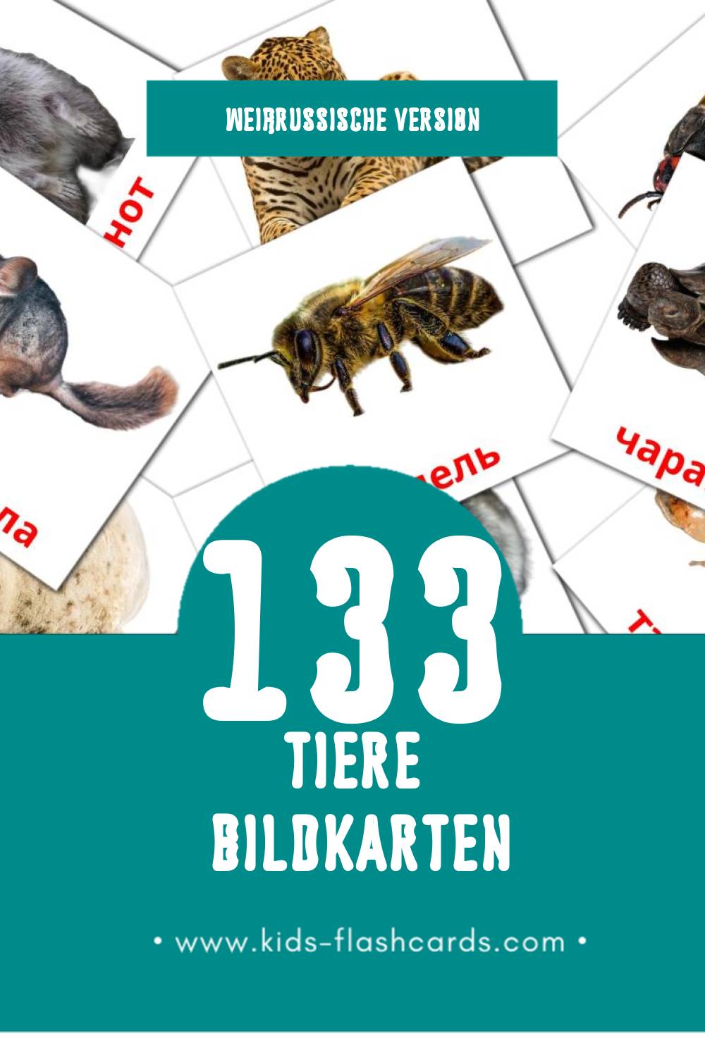Visual Жывёлы Flashcards für Kleinkinder (133 Karten in Weißrussisch)