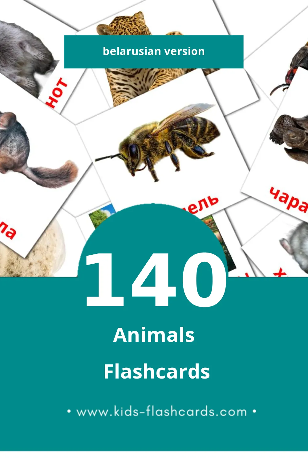 Visual Жывёлы Flashcards for Toddlers (140 cards in Belarusian)