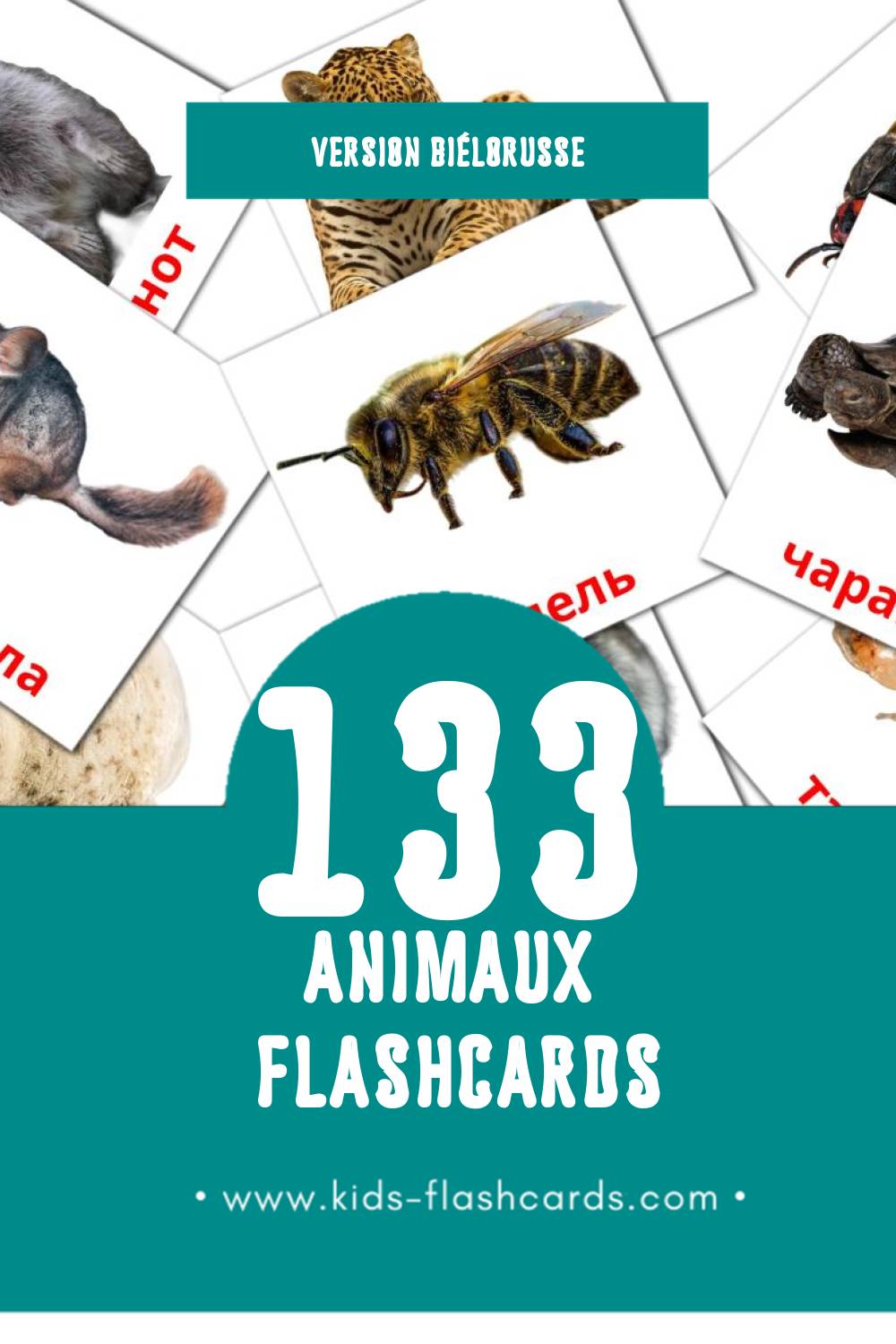 Flashcards Visual Жывёлы pour les tout-petits (119 cartes en Biélorusse)