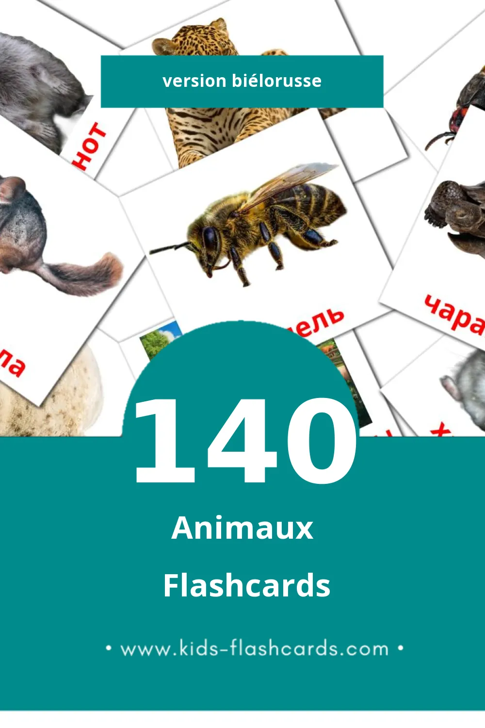 Flashcards Visual Жывёлы pour les tout-petits (140 cartes en Biélorusse)