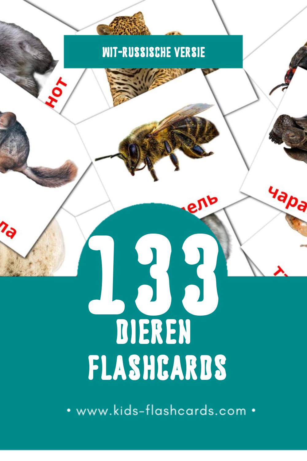 Visuele Жывёлы Flashcards voor Kleuters (133 kaarten in het Wit-russisch)