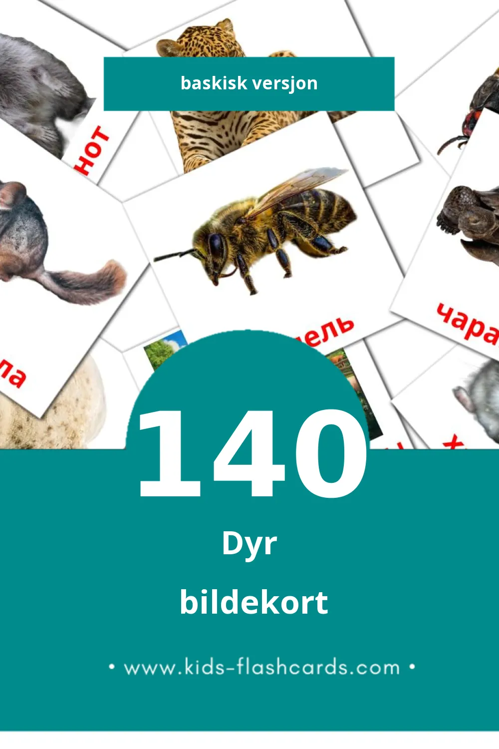 Visuelle Жывёлы bildekort for småbarn (140 kort på Baskisk)