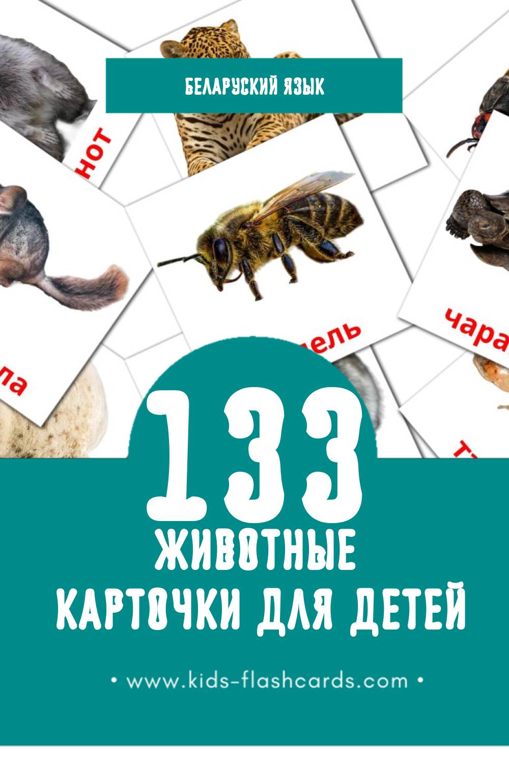 "Жывёлы" - Визуальный Беларуском Словарь для Малышей (133 картинок)