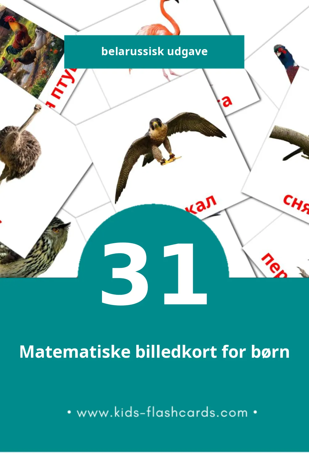 Visuelle billedkort for børn om Птушкі til småbørn (31 kort på Belarussisk)