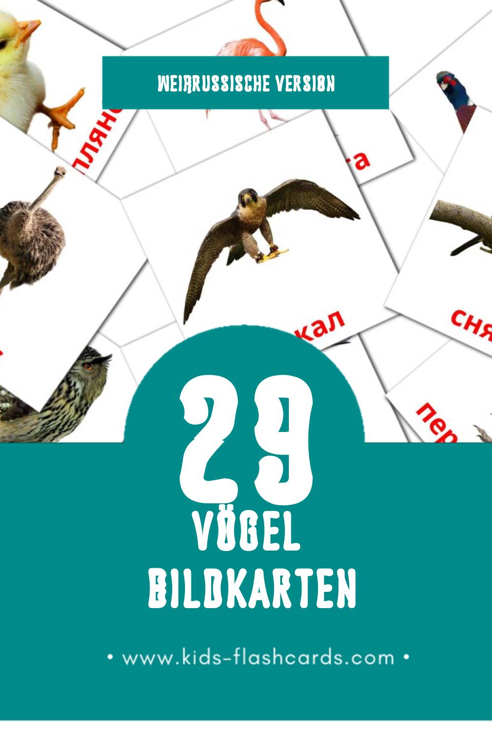Visual Птушкі Flashcards für Kleinkinder (29 Karten in Weißrussisch)