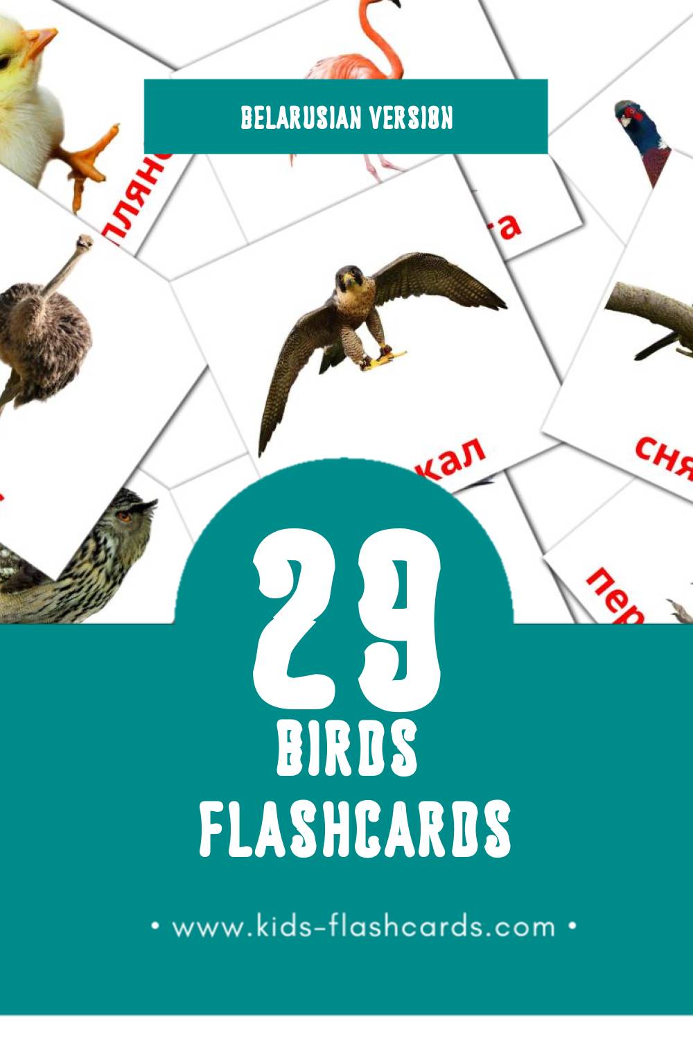 Visual птицы Flashcards for Toddlers (11 cards in Belarusian)
