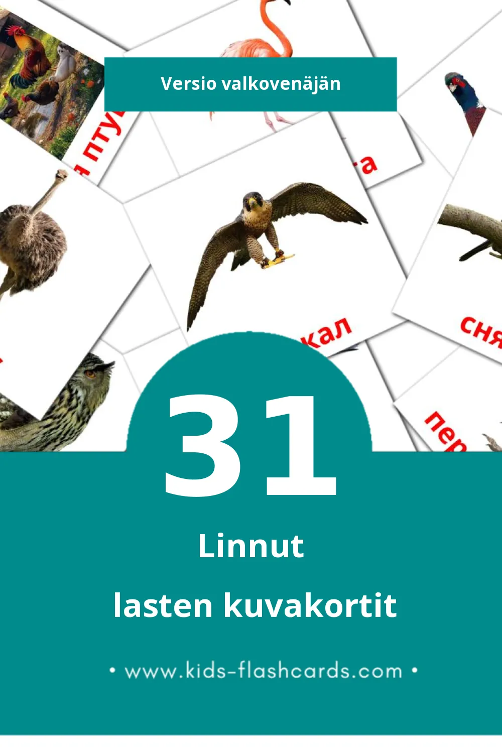 Птушкі lasten kuvakortit pikkulapsille (31 korttia Valkovenäjänksi)