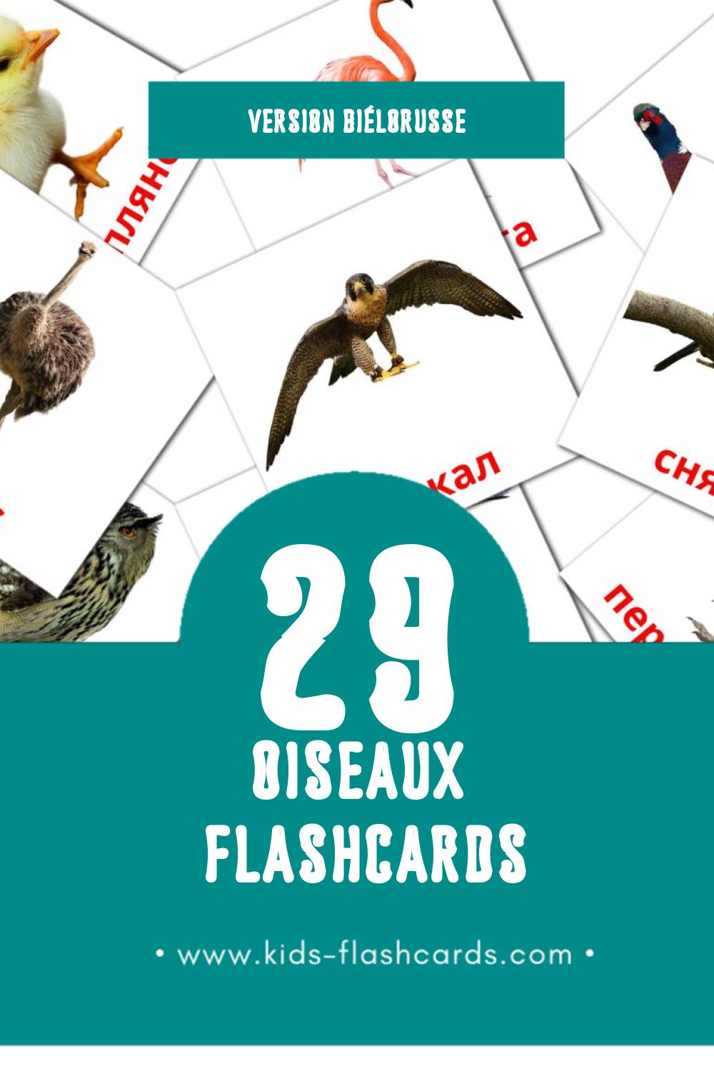 Flashcards Visual Птушкі pour les tout-petits (29 cartes en Biélorusse)