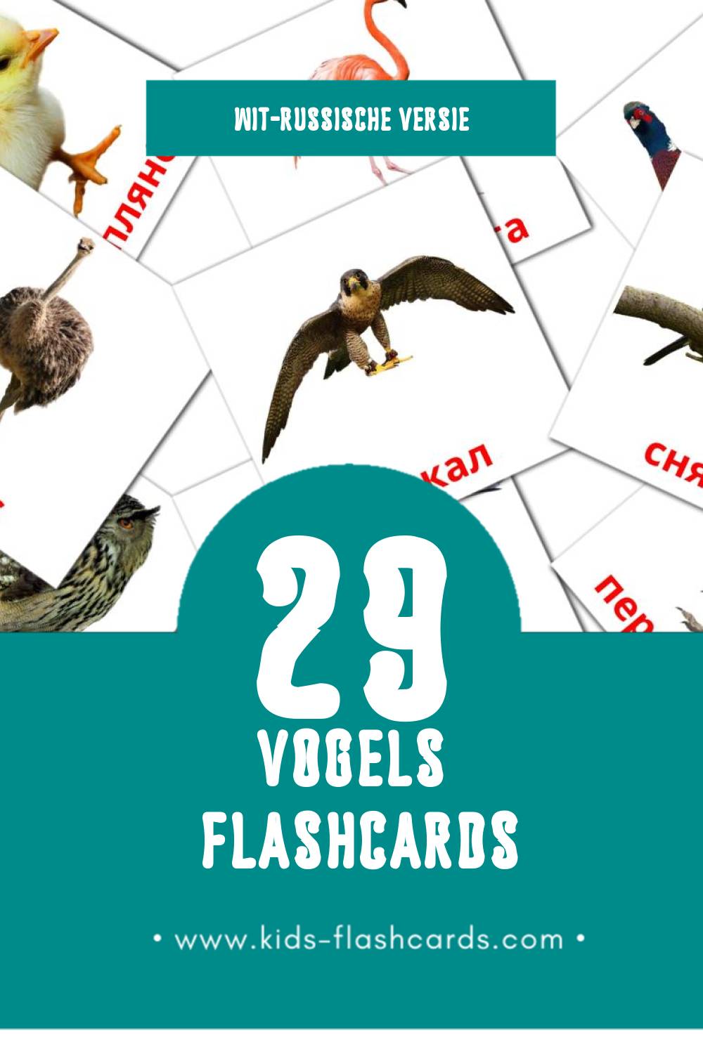 Visuele Птушкі Flashcards voor Kleuters (29 kaarten in het Wit-russisch)