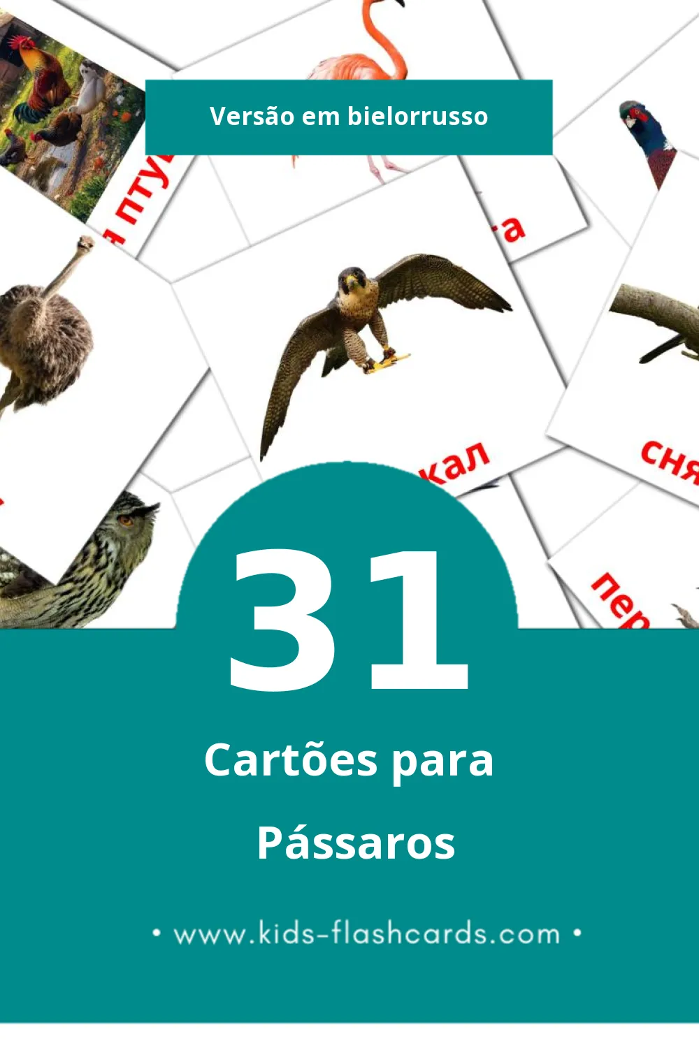 Flashcards de Птушкі Visuais para Toddlers (31 cartões em Bielorrusso)