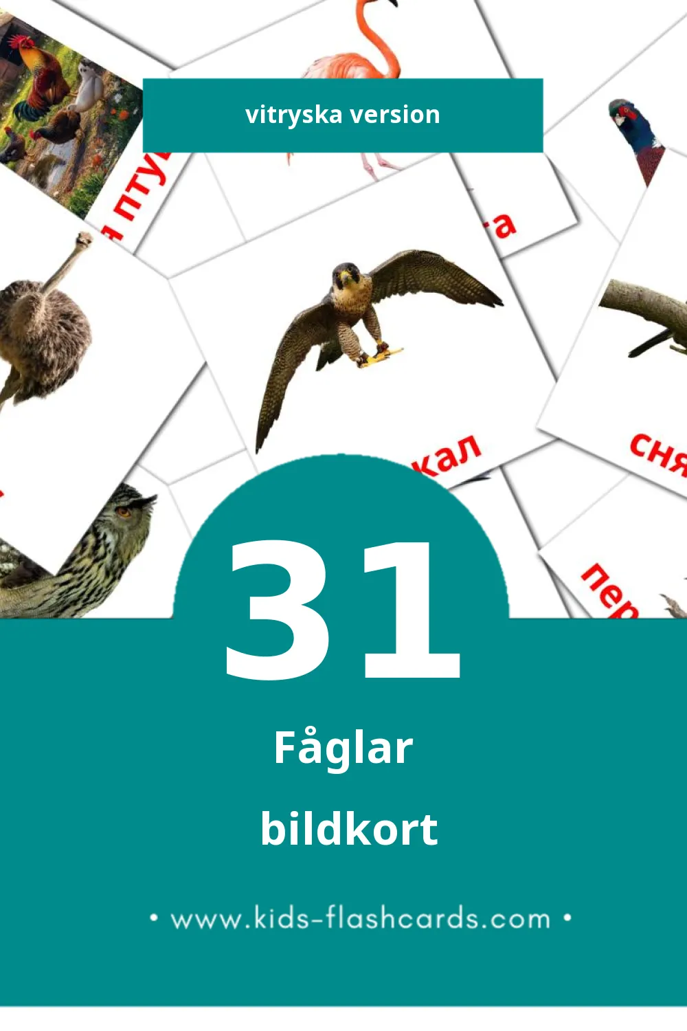 Visuella Птушкі för småbarn (31 bildkort för barn på Vitryska)