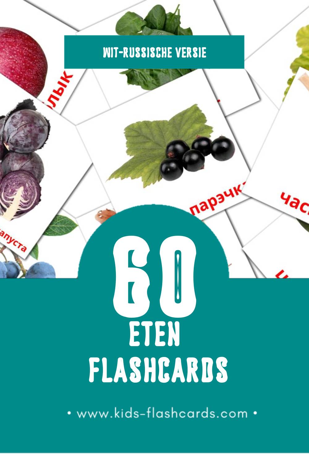 Visuele Ежа Flashcards voor Kleuters (60 kaarten in het Wit-russisch)