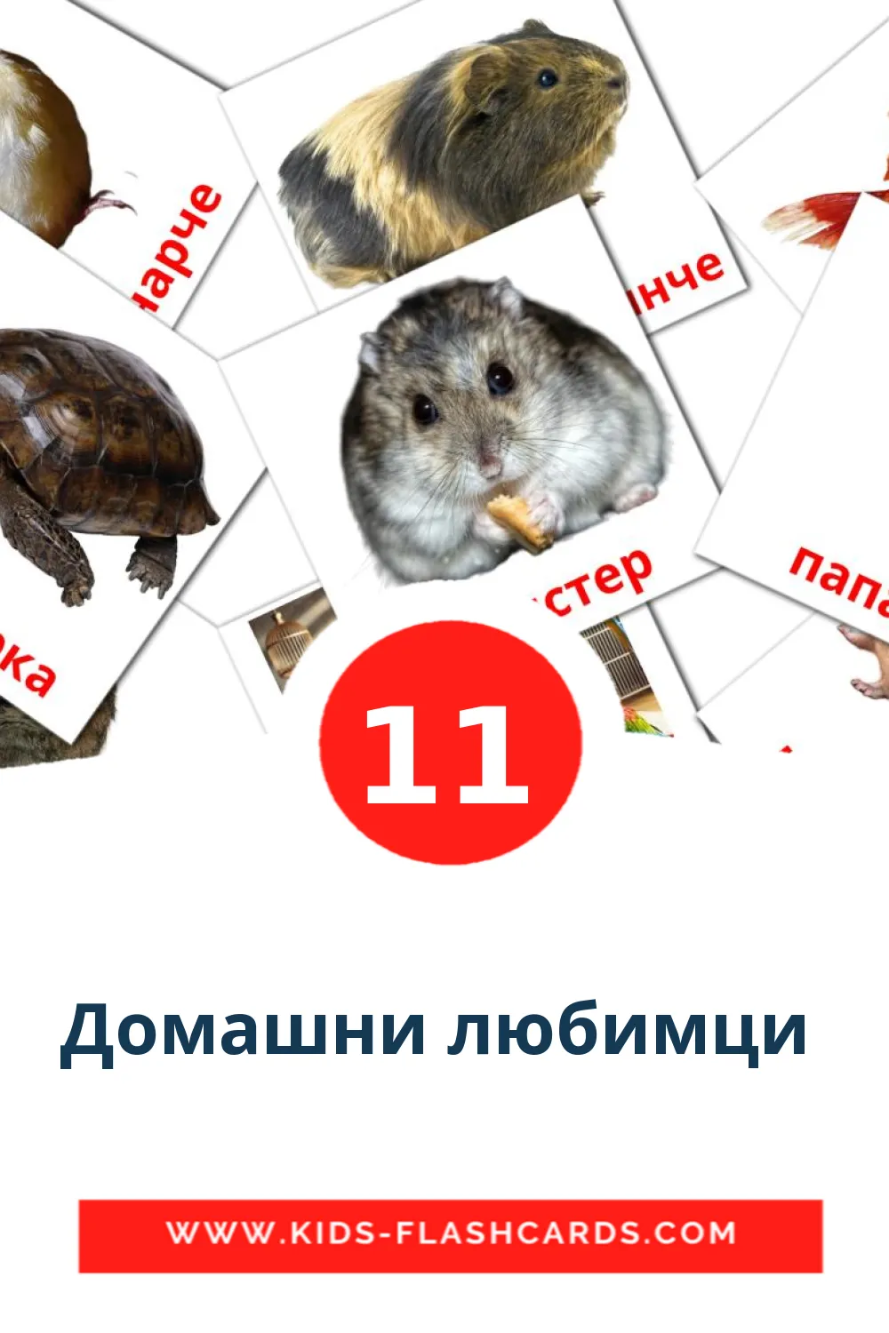 11 Домашни любимци  Picture Cards for Kindergarden in bulgarian