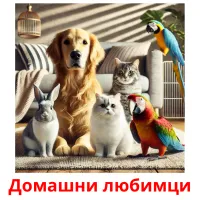 Домашни любимци picture flashcards