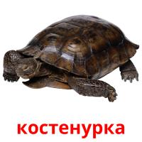 костенурка card for translate