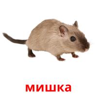 мишка card for translate
