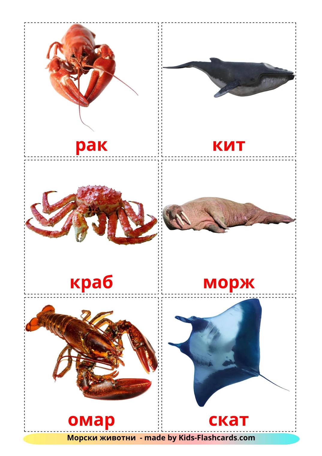 Sea animals - 30 Free Printable bulgarian Flashcards 