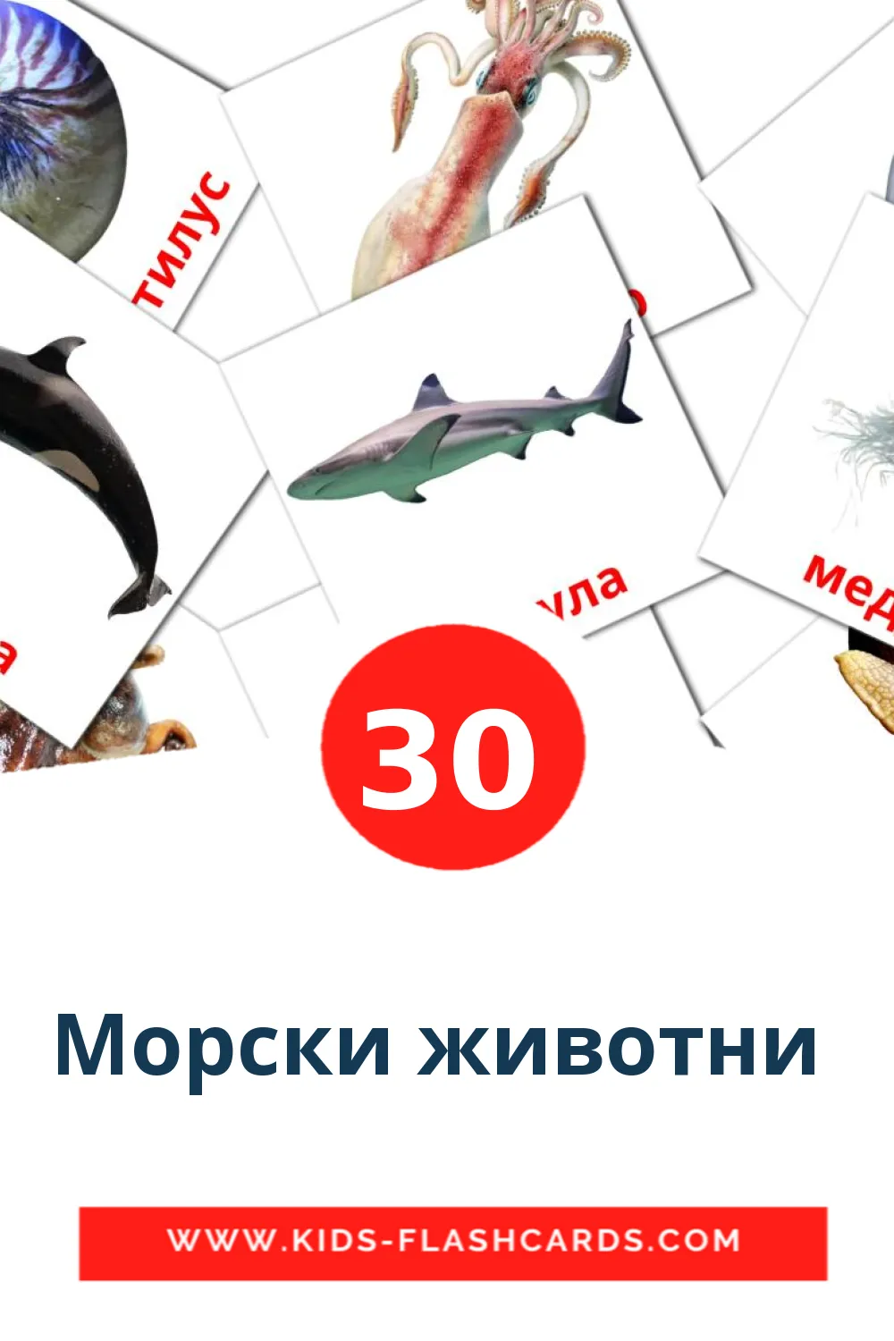 30 Морски животни  Picture Cards for Kindergarden in bulgarian