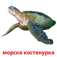 морска костенурка card for translate