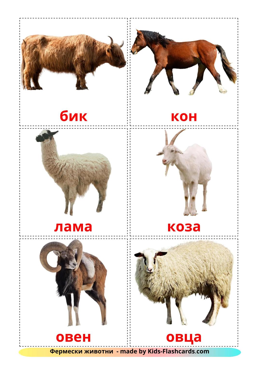 Farm animals - 16 Free Printable bulgarian Flashcards 