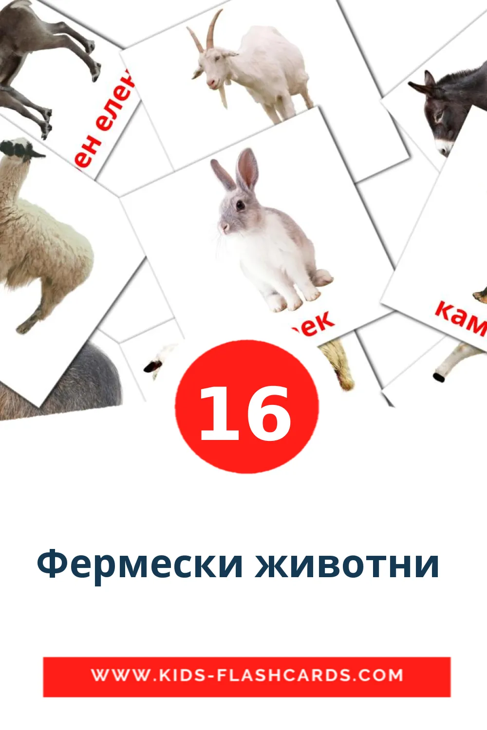 16 Фермески животни  Picture Cards for Kindergarden in bulgarian