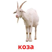коза card for translate